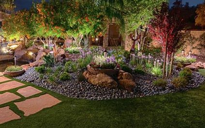 Transforming Your Sonoran Desert Garden in May