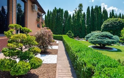 Enhancing Home Value and Year-Round Enjoyment with Expert Landscape Design