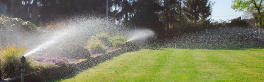 May Landscape Maintenance in the Phoenix Climate