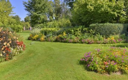 September Landscaping Tips for Phoenix Homes