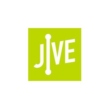 Jive