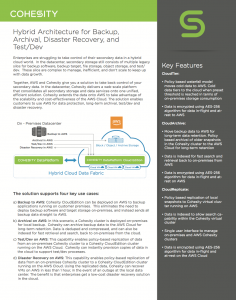 Cohesity and AWS