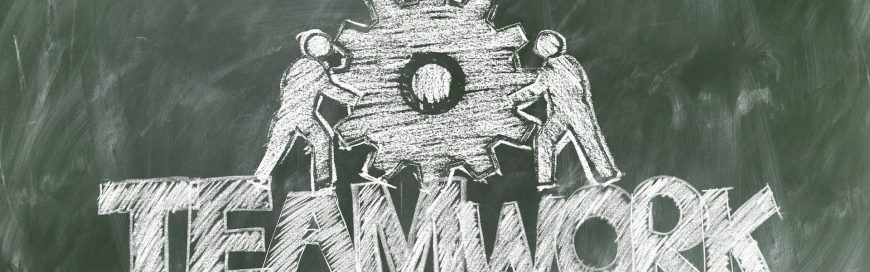 What Does a Value-Added Reseller Add to the Government Market Space?