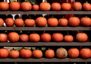 Thankful for Technology