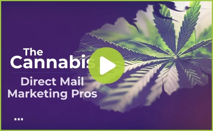 Cannabis Direct Mail Video