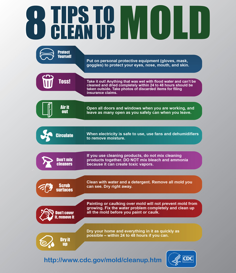 Infographic: 8 Tips to Cleanup Mold