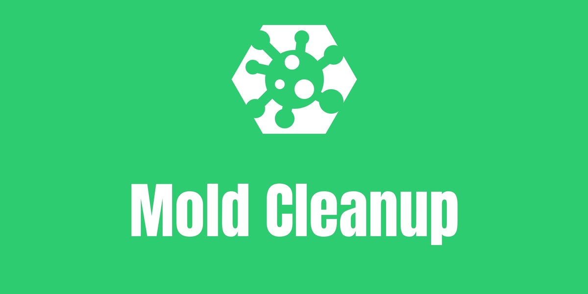 mold cleanup