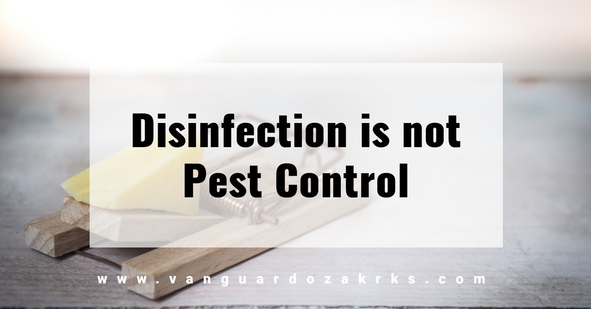 Disinfection is not Pest Control - Springdale, Tulsa, Fort Smith