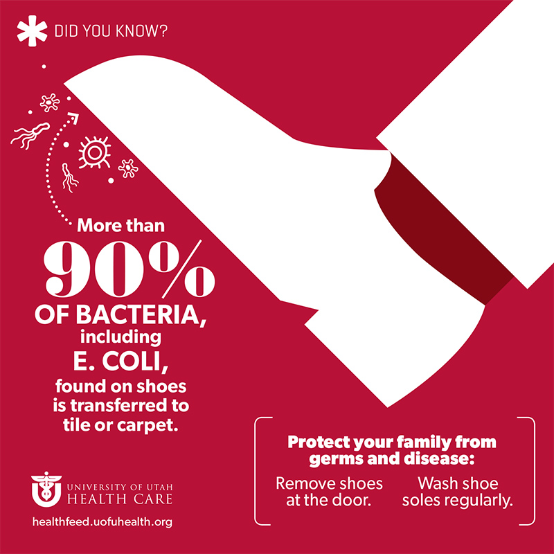 Infographic describing the transmission of E. coli and other bacteria to carpets and floors