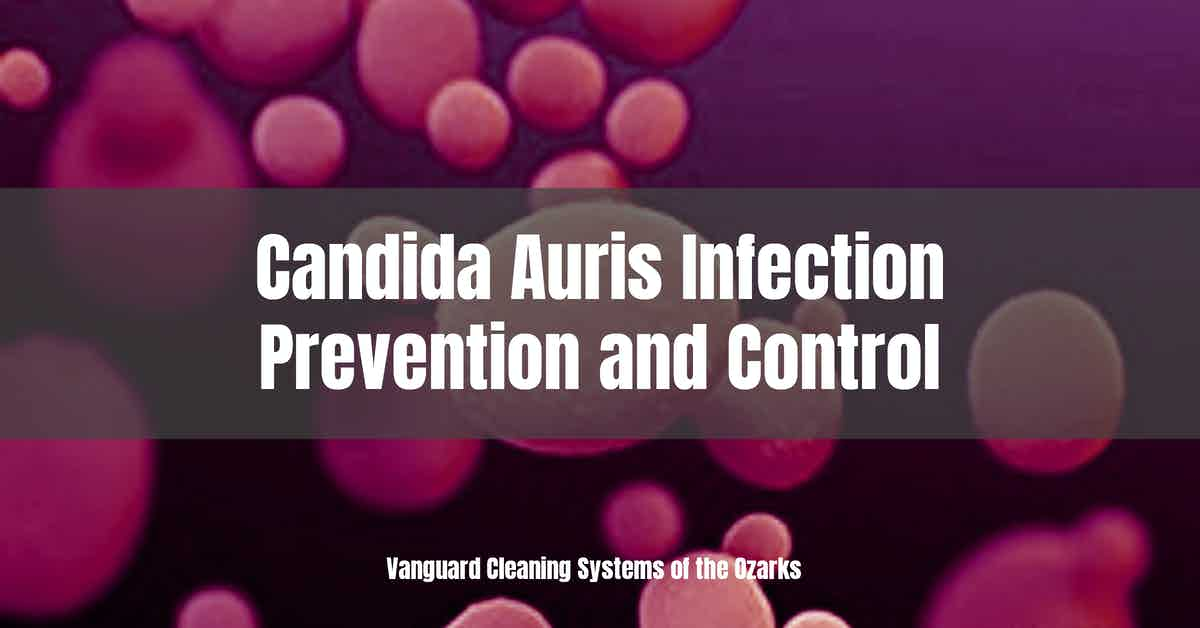 Candida Auris Infection Prevention And Control Springdale Tulsa Fort Smith Vanguard 