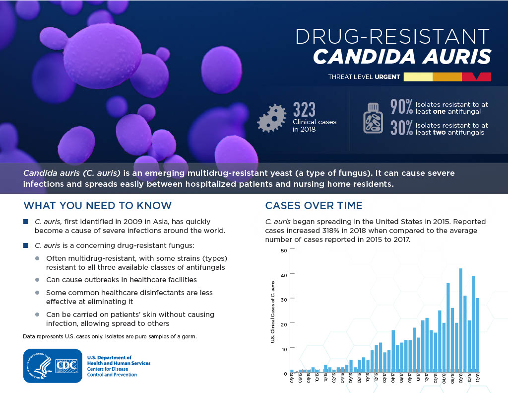 Candida Auris Infection Prevention And Control Springdale Tulsa Fort Smith Vanguard 