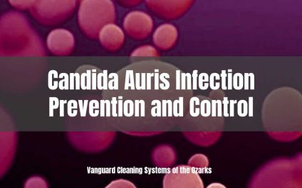 Candida Auris Infection Prevention and Control