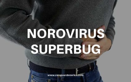 Norovirus Superbug