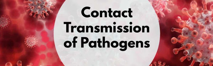 Contact Transmission of Pathogens
