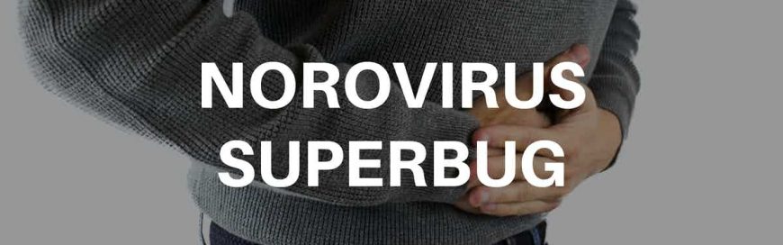 Norovirus Superbug