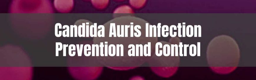 Candida Auris Infection Prevention and Control