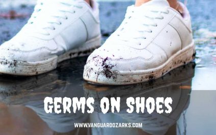 Germs on Shoes