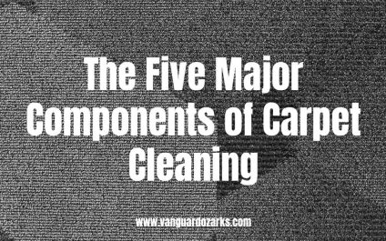The Five Major Components of Carpet Cleaning