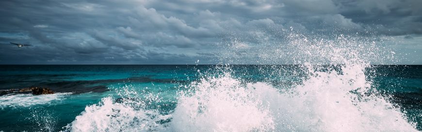 FP&A Trends for 2019: The Year of Digital Finance Transformation