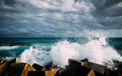 FP&A Trends for 2019: The Year of Digital Finance Transformation