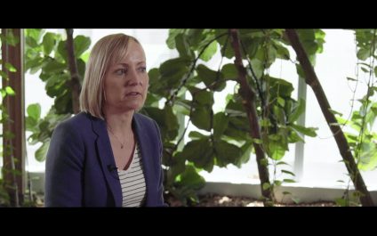 DHHS: Department of digital transformation