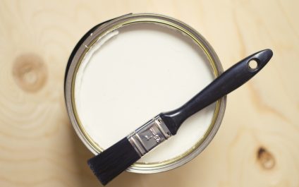 A primer on primer paints