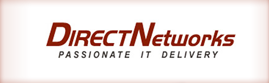 Direct-Networks logo