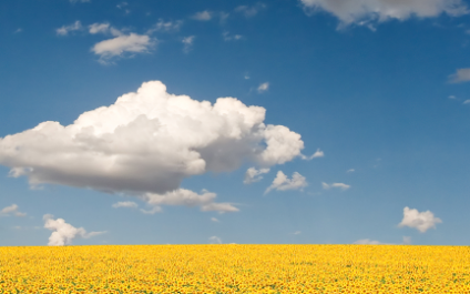 Top 5 Secrets for Effective Cloud Computing