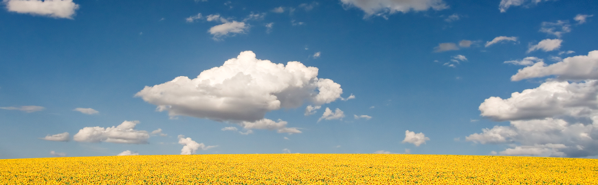 Top 5 Secrets for Effective Cloud Computing