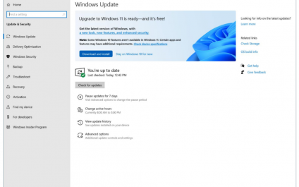 Windows 11 upgrades.. DON’T! Not yet anyway