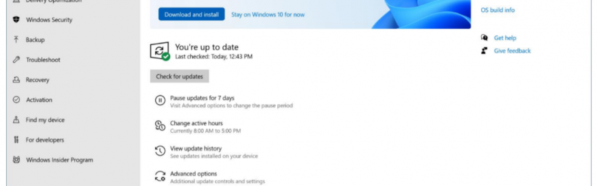 Windows 11 upgrades.. DON’T! Not yet anyway