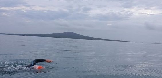 VOYAGE OF THE ORANGE ROUGHY – JUST KEEP SWIMMING!