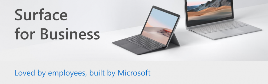 Surface for Business Fact Sheet