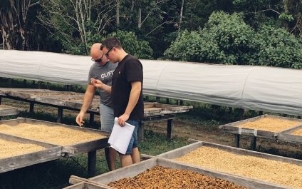 Customer Story: Clifton Coffee | Connect and Collaborate