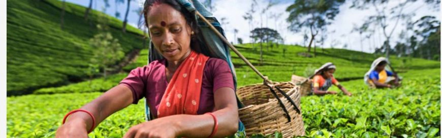 Harnessing technology to adapt across industries: customers embrace remote everything and purpose-driven digital for a better future