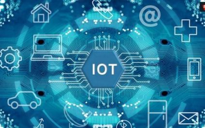 Everything You Should Know About IoT