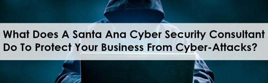 What Does A Santa Ana Cyber Security Consultant Do To Protect Your Business From Cyber-Attacks?