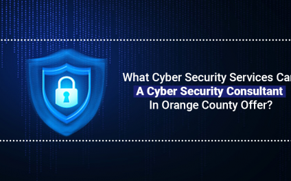What Cyber Security Services Can A Cyber Security Consultant In Orange County Offer?