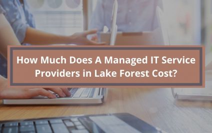 How Much Does A Managed IT Service Providers in Lake Forest Cost?