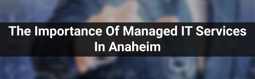 The Importance Of Managed IT Services In Anaheim