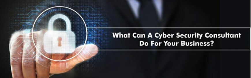 What Can A Cyber Security Consultant Do For Your Business?