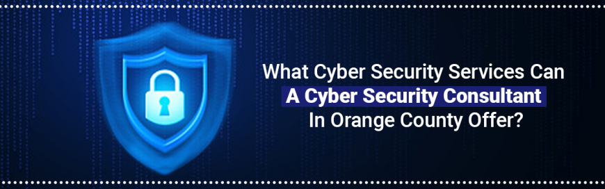 What Cyber Security Services Can A Cyber Security Consultant In Orange County Offer?