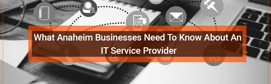 What Anaheim Businesses Need To Know About An IT Service Provider