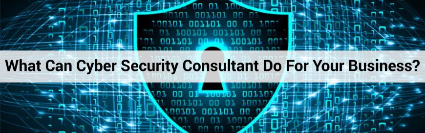 What Can Cyber Security Consultant Do For Your Business?