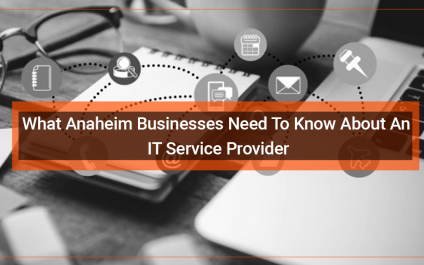 What Anaheim Businesses Need To Know About An IT Service Provider