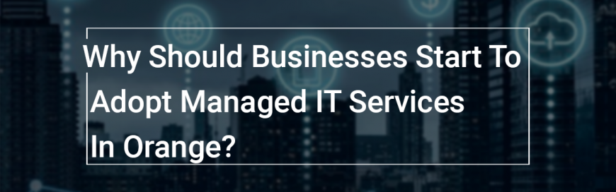 Why Should Businesses Start To Adopt Managed IT Services In Orange?