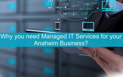 Why you need  Managed IT Services for your Anaheim Business?