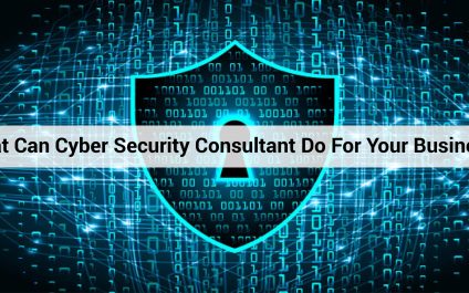 What Can Cyber Security Consultant Do For Your Business?
