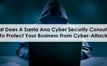 What Does A Santa Ana Cyber Security Consultant Do To Protect Your Business From Cyber-Attacks?