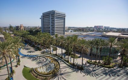The Best IT Services In Anaheim